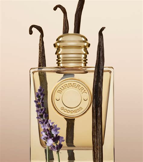 burberry eau de parfum goddess|burberry goddess boots.